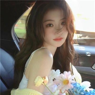 刑事7人 第五季